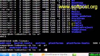 wildcard characters in Mac OS X Terminal