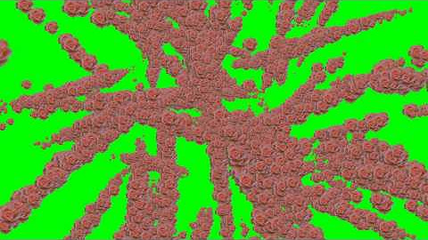 4K Forming Heart From Roses Particle Animation AA VFX