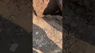 Borbell And Pump Fitting