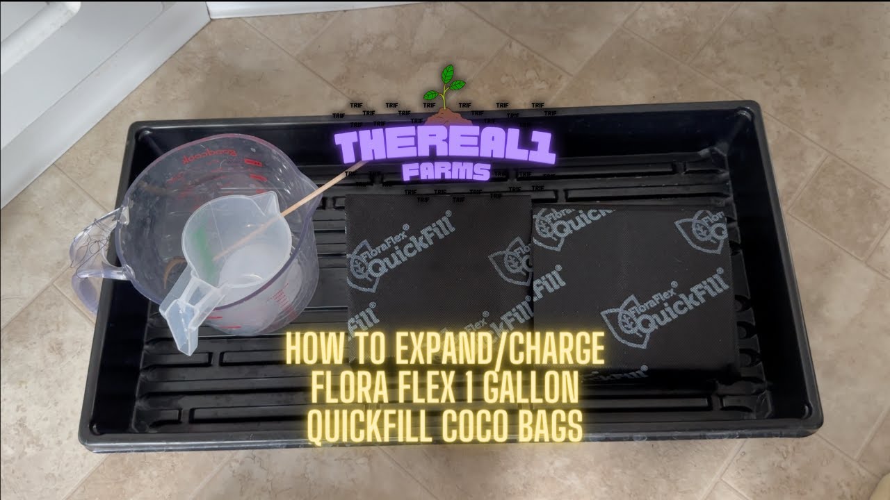 How To Expand Flora Flex 1 Gallon Coco Bags   4K