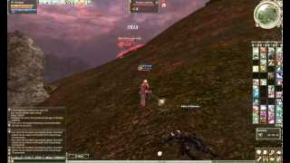 Lineage II bug