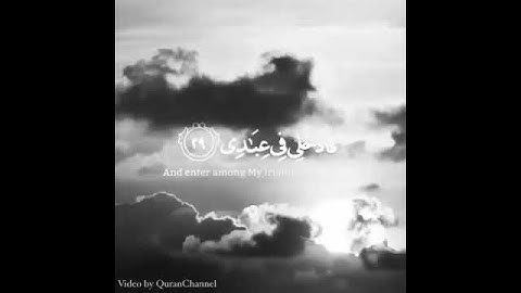 قران / صوت جميل / راحة / السعادة / {ايأتها النفس ..} /قران كريم /القران