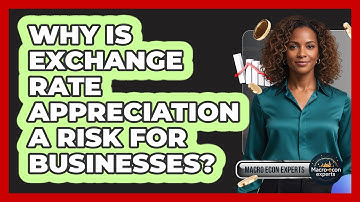 Why Is Exchange Rate Appreciation A Risk For Businesses? - Macroecon Experts