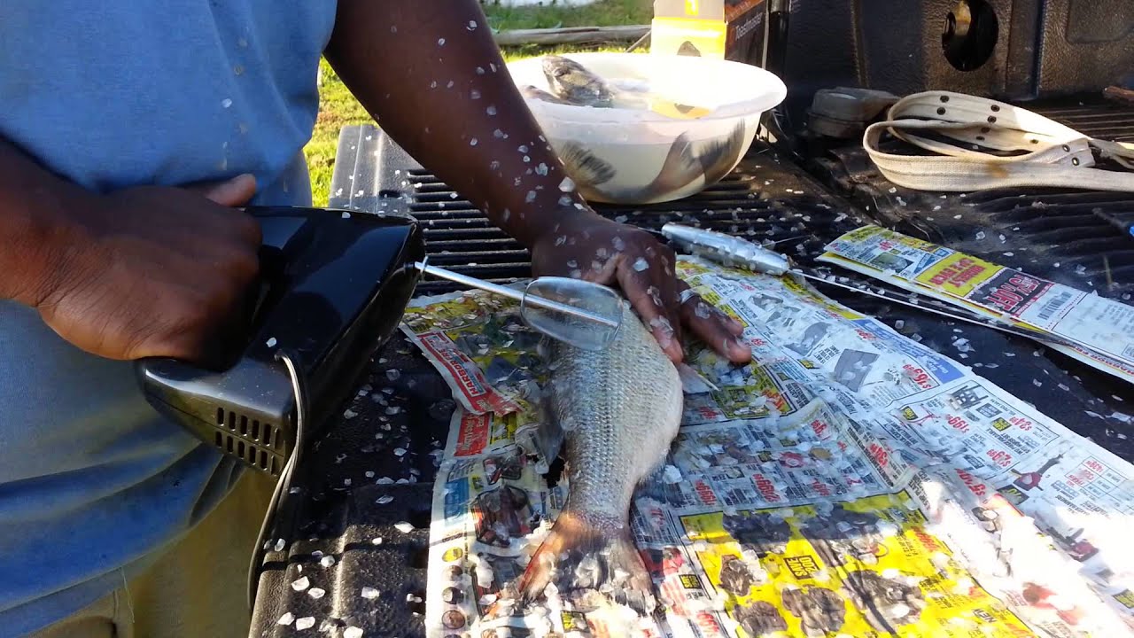 How to Scale a Fish pics How to Scale a Fish pics