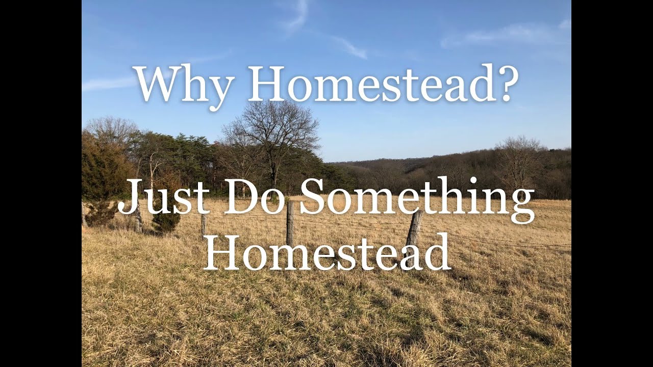 Why we Chose to Homestead - YouTube