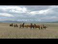 "Путешествие в Туву". Journey to Tuva. INTUVA