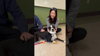 Pet Away Worry & Stress (PAWS) therapy dogs on campus every other week 💚 #binghamtonuniversity