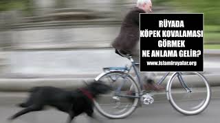 Rüyada Köpek Kovalaması Görmek Ne Anlama Gelir?