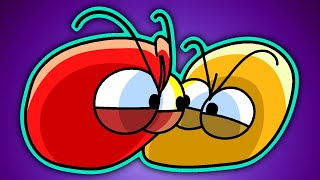 CLASS CARTOONS
