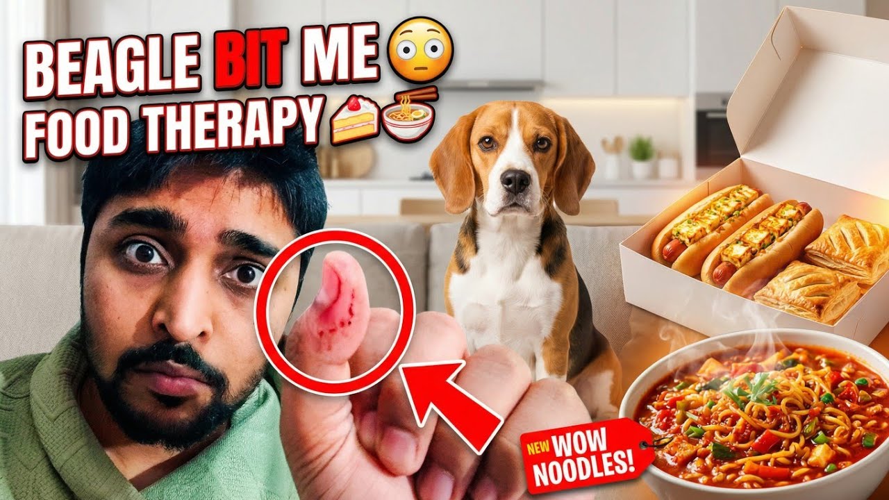 Beagle Ne Bite Kar Diya 😳 | Injury + Famous Bakery Food + Wow Noodles Review 🍜