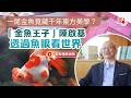 一尾金魚竟藏千年東方美學？「金魚王子」陳啟基透過魚眼看世界｜港故事