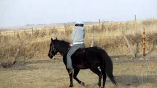 Almost falling off: bareback edition!