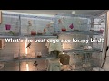 What's the best cage for my birds
