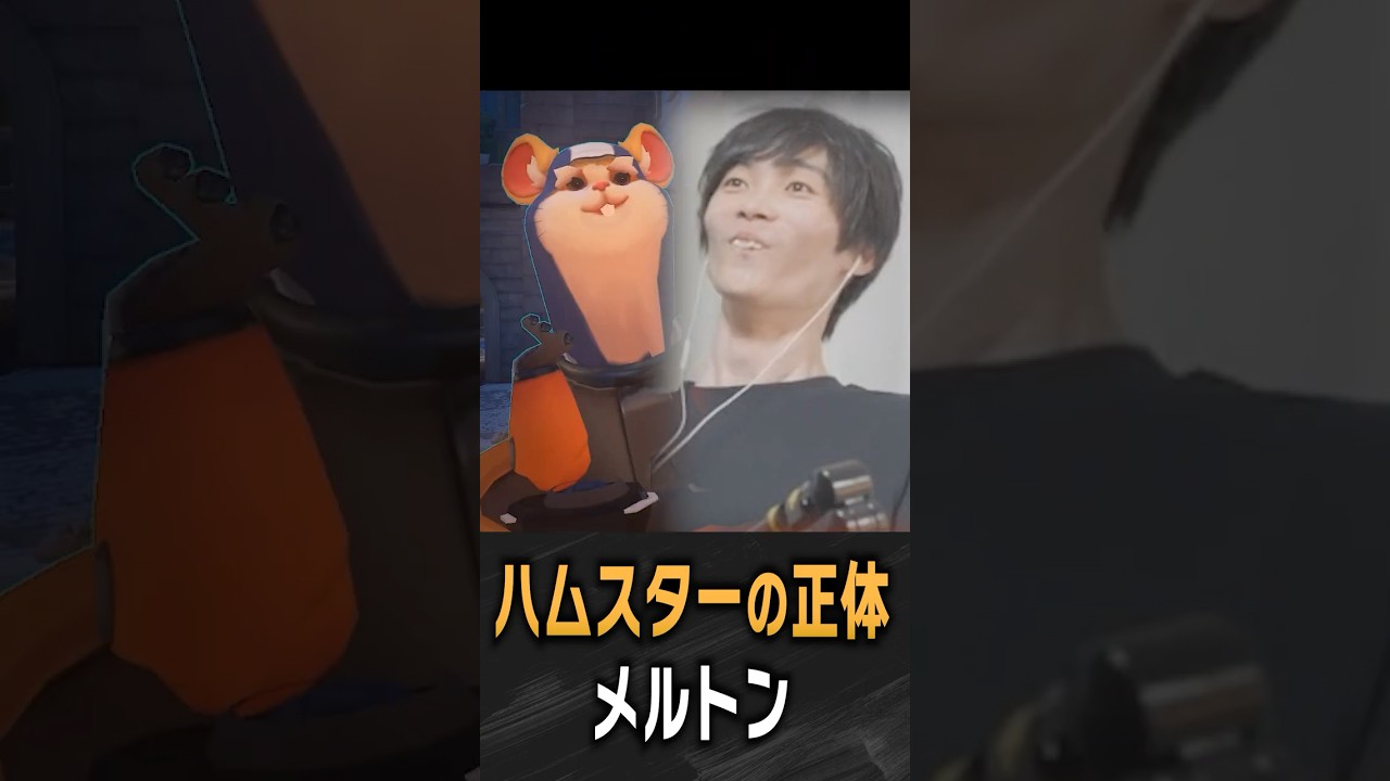 動体視力が良すぎてハムスターの正体を暴いてしまうメルトン【 OverWatch / メルトン 切り抜き】 #short #shorts