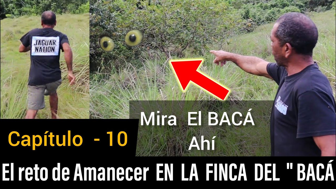 Capítulo  - 10  | El reto de Amanecer  EN  LA  FINCA  DEL  