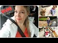 VLOG: Обновляем детскую/Кровать для детей/Кухня/Новогодний сезон открыт