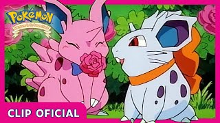 ¡Nidoran enamorados! | Pokémon: Aventuras en las Islas Naranja | Clip oficial