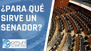 FUNCIONES DE UN SENADOR EN MÉXICO ??