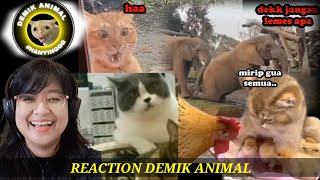 KETIKA BINATANG BISA NGOMONG - Reaction Demik Animal