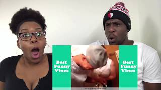 TOO MIGHTY DUCK VINES COMPILATION REACTION!!