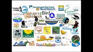 Citizen Science