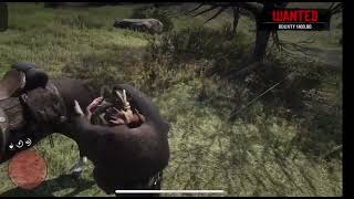 Red Dead Redemption 2 Beating Up Jon the Raccoon Hat Guy