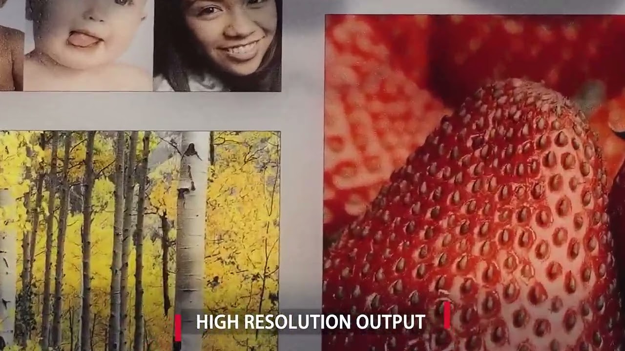 Procolored F13 PRO The Best Business Direct to Film DTF Roll Printer