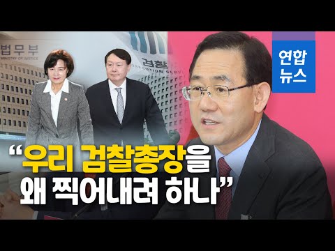주호영 "추미애 지휘권 발동에 청와대 배후조종" / 연합뉴스 (Yonhapnews)