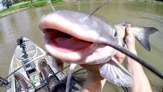 Fish and Float Catfish Fun!