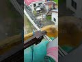 cutting conductor #lineman #pobrenglineman #youtubeshorts #electricity