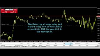 #79 daily trading profits i turned 764,92 USD into 79578,64 USD