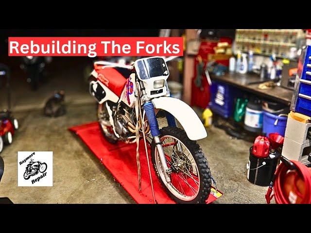 Honda XR250R Rebuild Front Forks, The Frist Step in Saving This