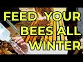 Apiculture  comment nourrir vos abeilles tout lhiver