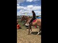 Девушка заезжает лошадь.