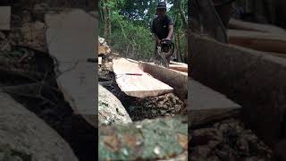 Cara Ngesek Papan Makay Mesin Kecil Merek Sehtil