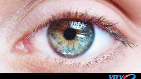 VITV - Startup 360 - Startup với thiết kế phần mềm nhà xe