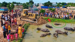 Road Construction! Mini Dozer on the Brink Clearing the road and pouring soil for the road Push Hous