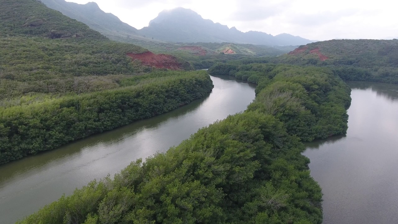 Menehune Fish Pond, Kauai, Hawaii YouTube