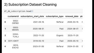Data Cleaning Using Pandas | Subscription Dataset | {SQL & Python Portfolio Project – Part 4}