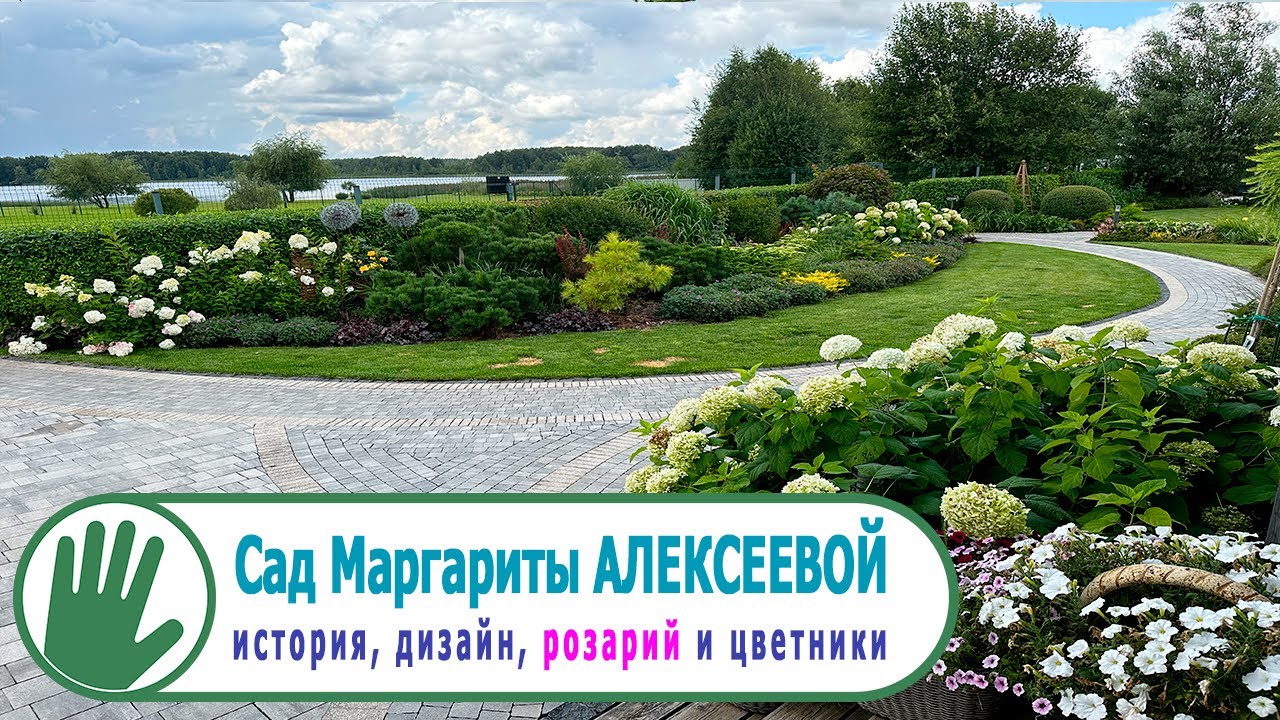 Видео журнал 