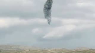 Cebrayilda En Guzel Goruntuler.