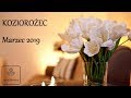 KOZIOROŻEC - czytanie ogólne na Marzec 2019