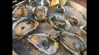 Health department investigates illnesses connected to oysters