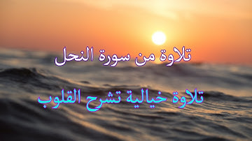سورة النحل │ مقطع تاريخي يشرح القلوب │ القارئ مصطفي عبد التواب
