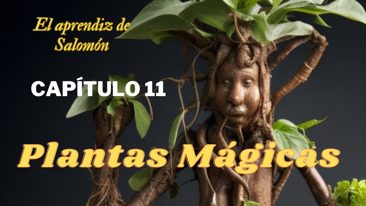 Capítulo 11  PLANTAS mágicas que te darán AMOR PROTECCION Y PODER y PARACELSO EL ALQUIMISTA🌿🔮