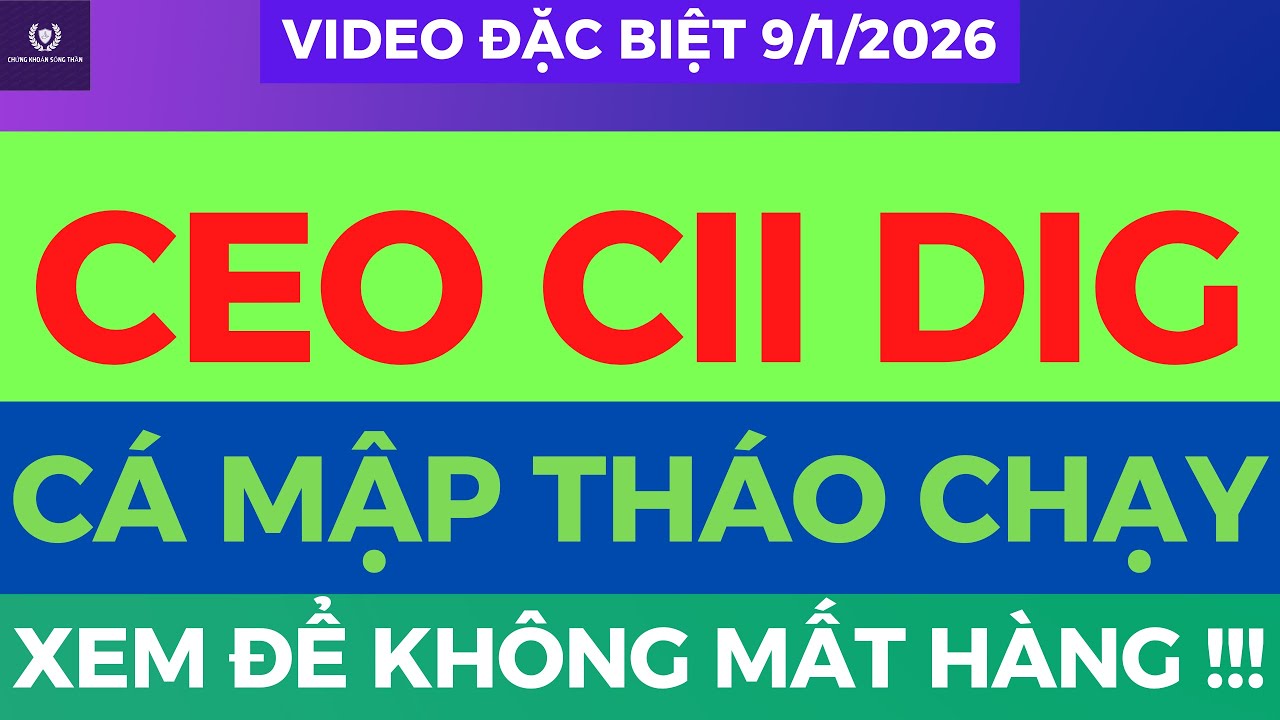 CEO CII DIG CÚ ĐẠP THẤU TRỜI, TOP SIÊU CỔ SẮP NỔ