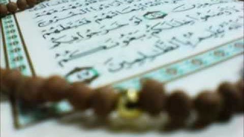 سورة النبأ برواية البزي عن ابن كثير   محمد العبدالله