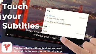 Woodpecker Learning App - Touch Subtitles, Learn Words, Immerse in World Language Content (Teaser) screenshot 4