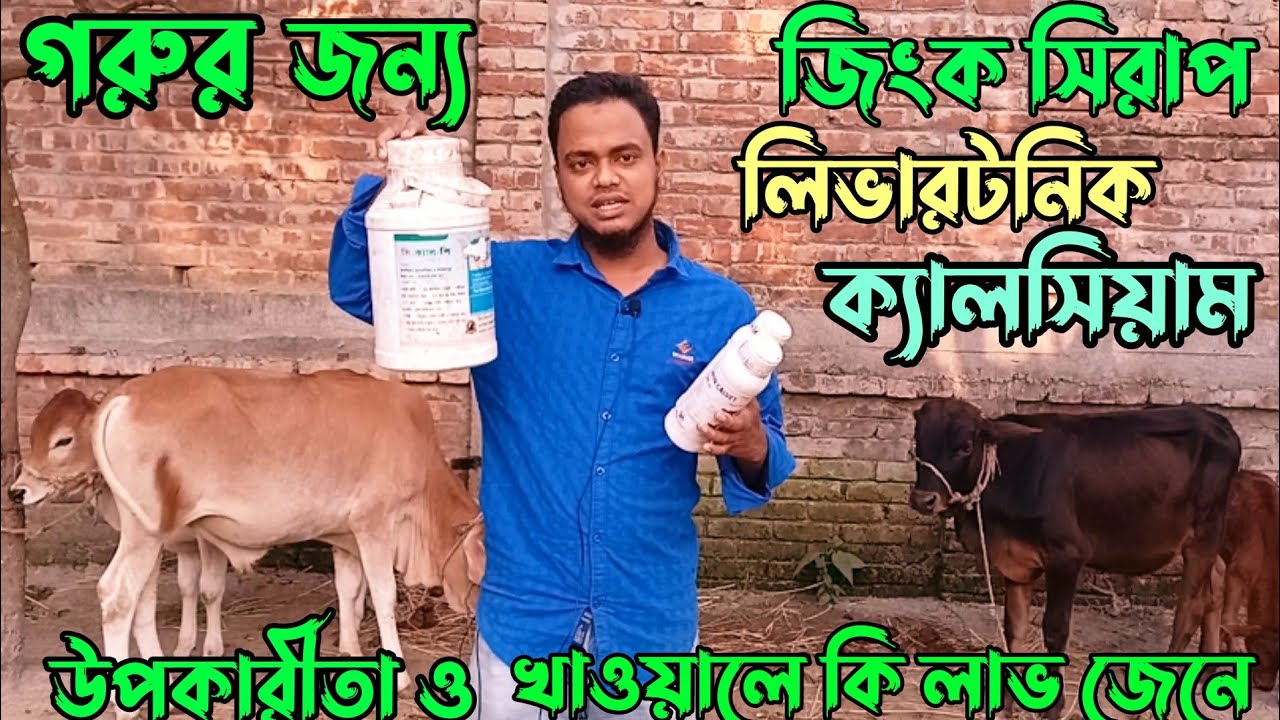 গরুর জিংক সিরাপ, লিভারটনিক, ক্যালসিয়াম খাওয়ালে কি লাভ জেনে নিন | cow ...