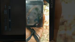 Sony DSC-HX200V Photo